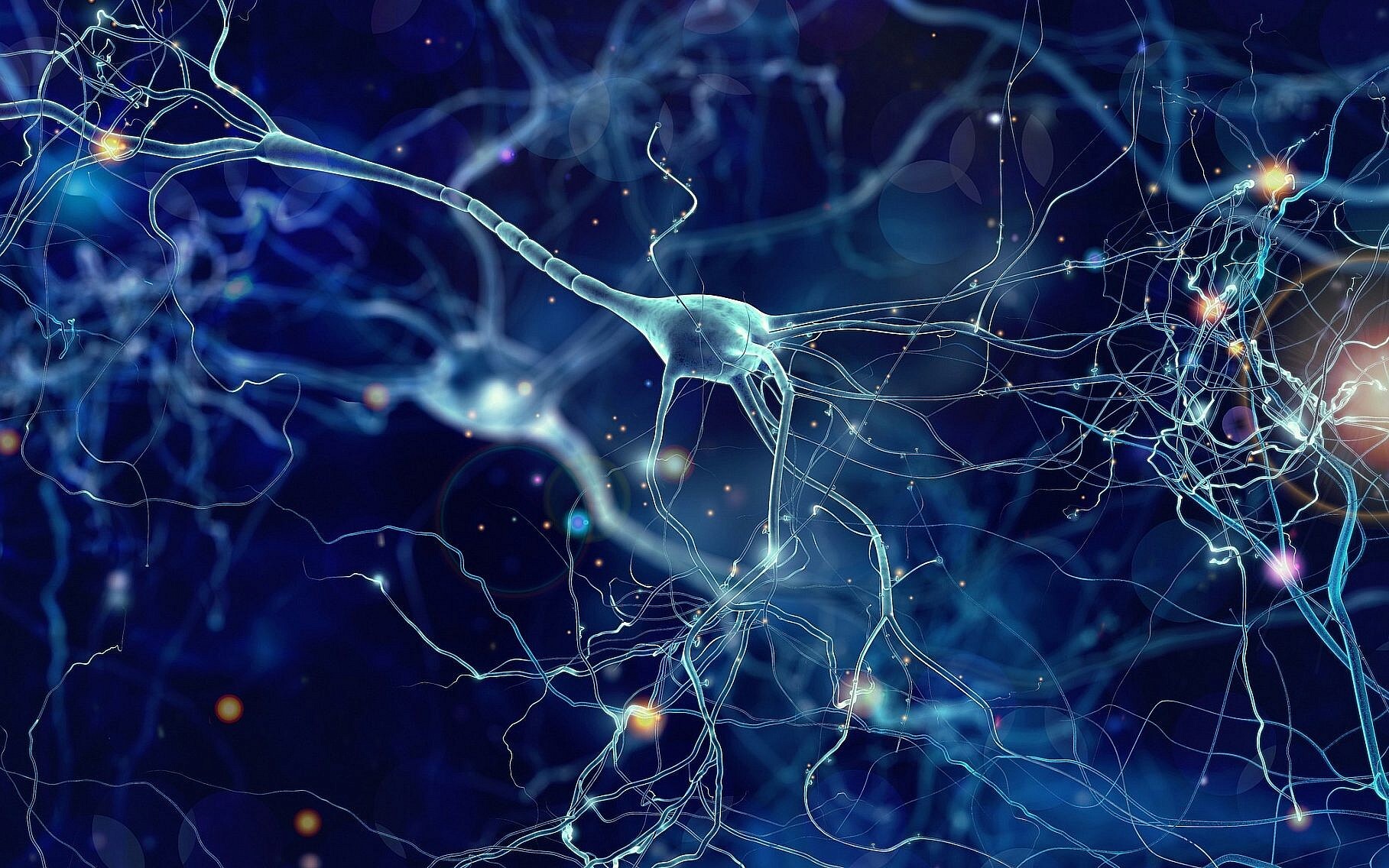 Minds banner for @wad