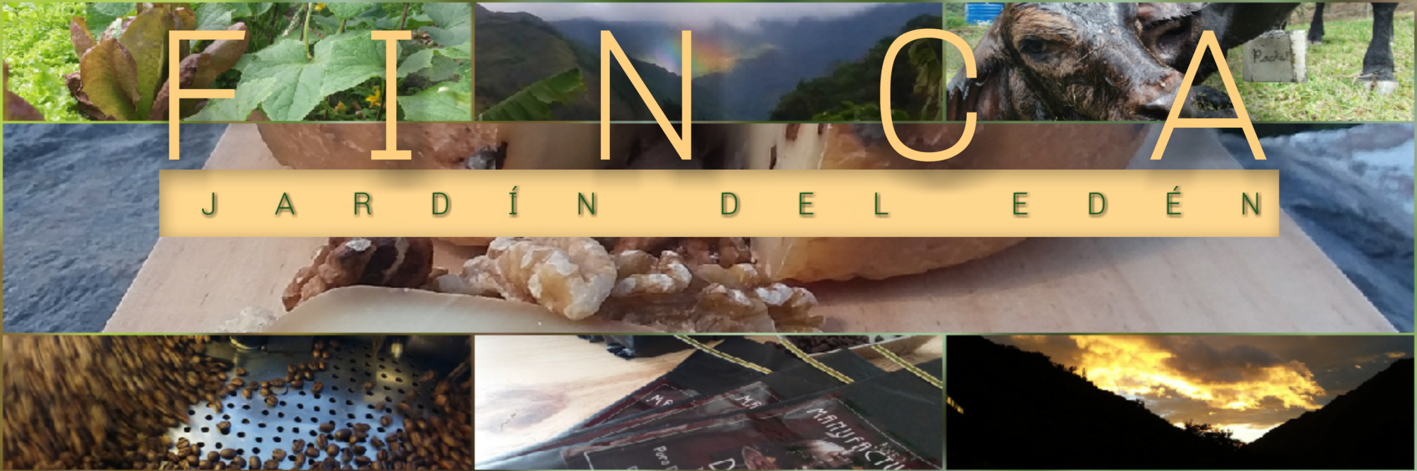 Minds banner for @ecuador
