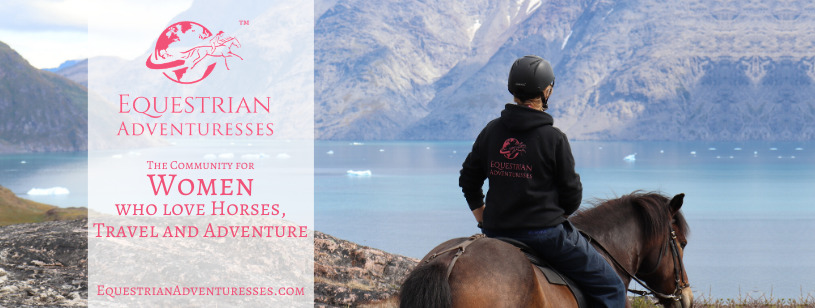 Minds banner for @equestrian