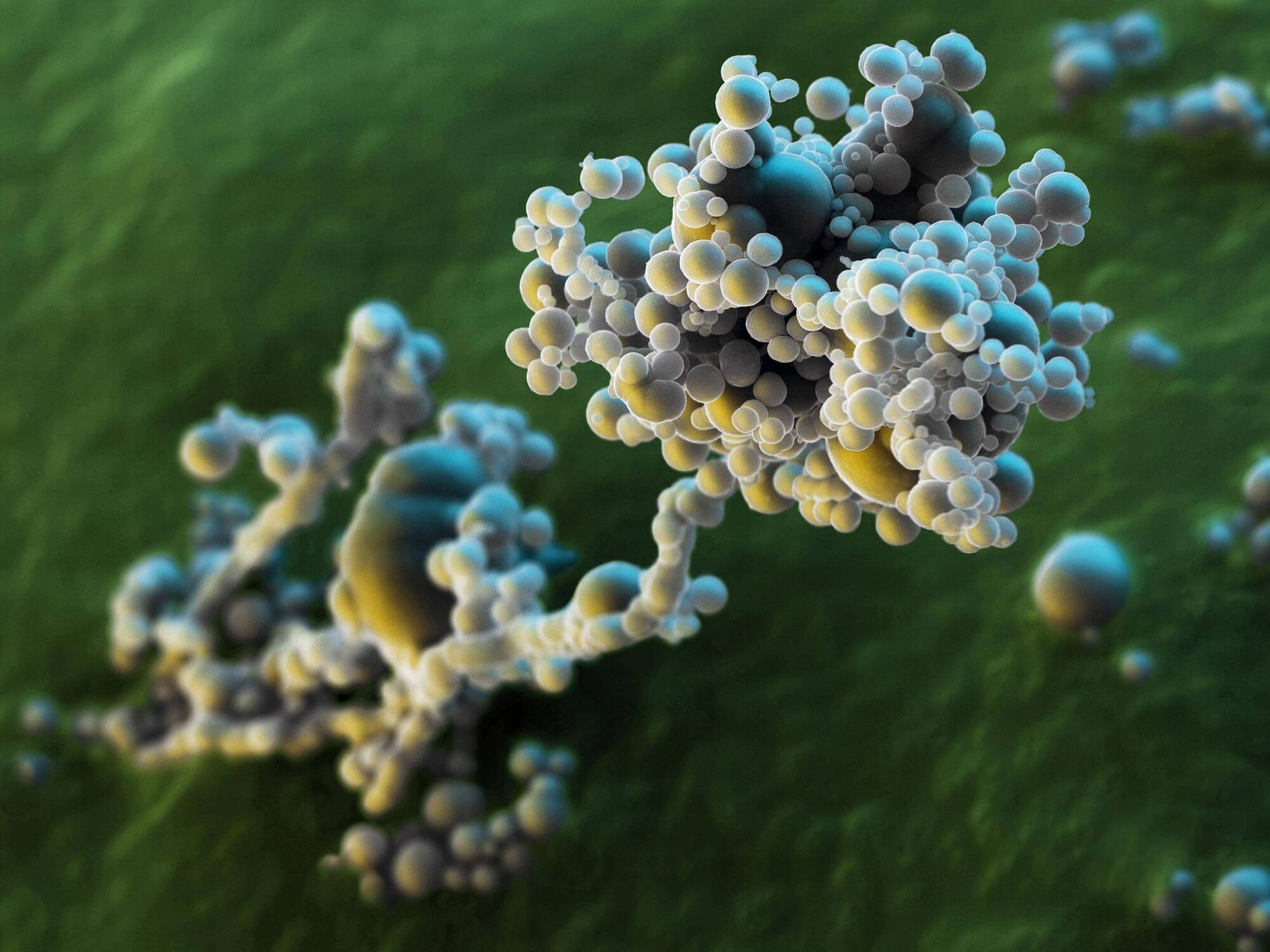 Minds banner for @molecular
