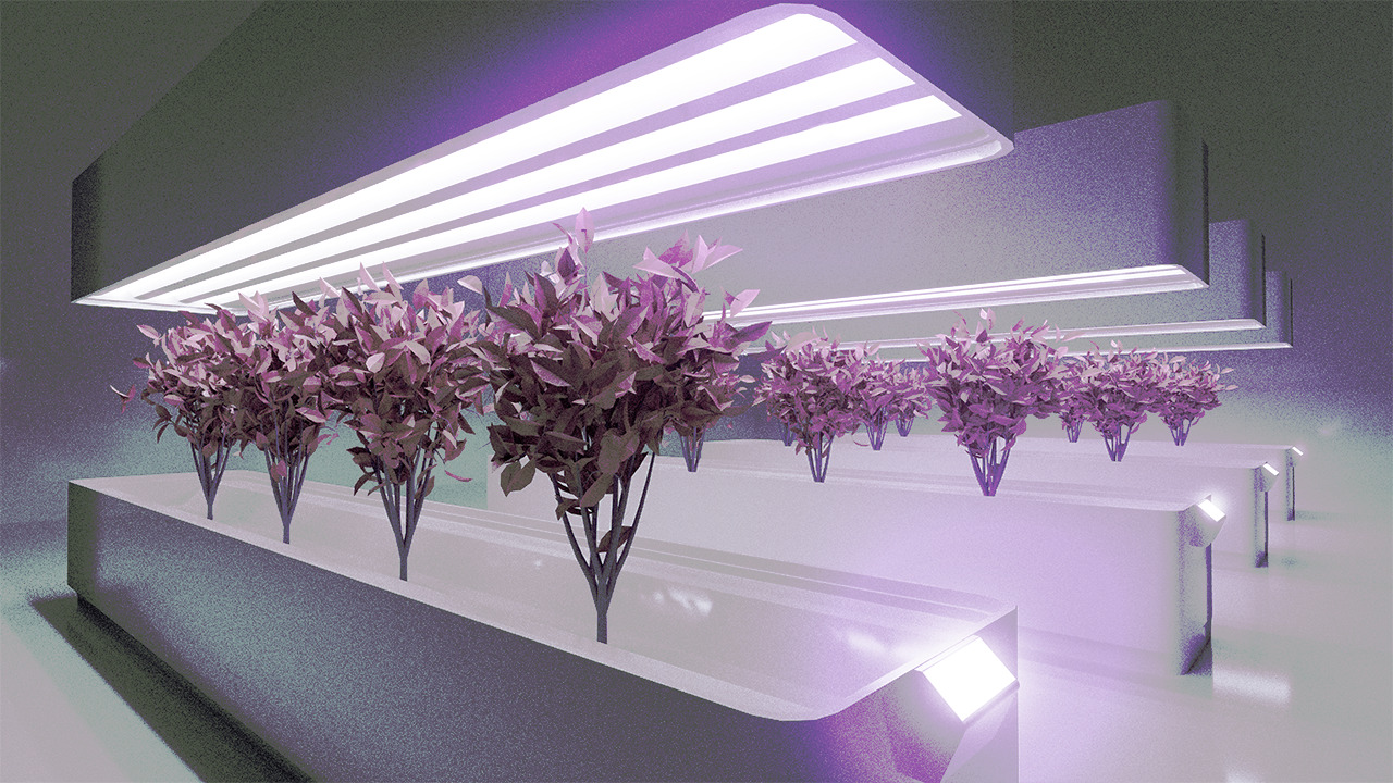Minds banner for @Apathy