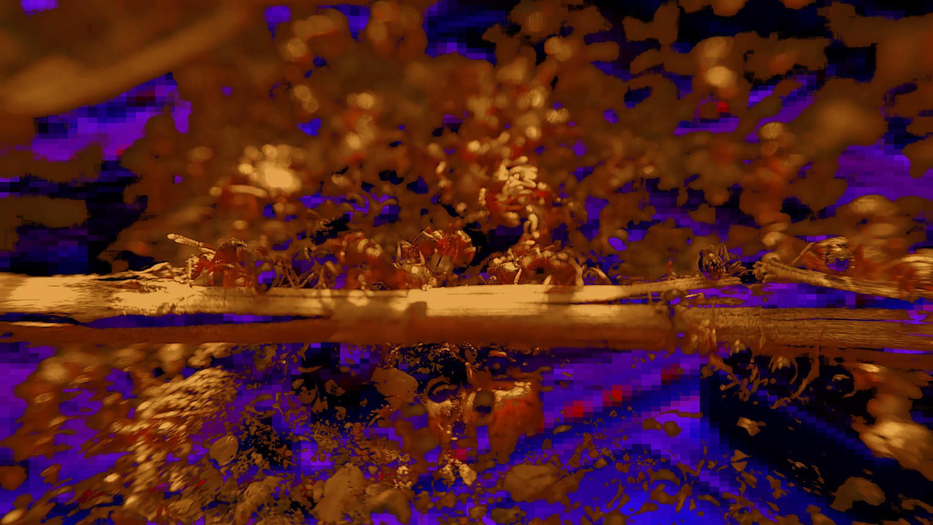 Minds banner for @poverty