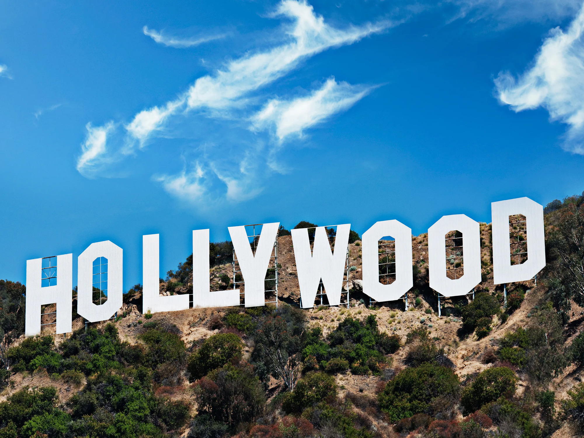 Minds banner for @Hollywood