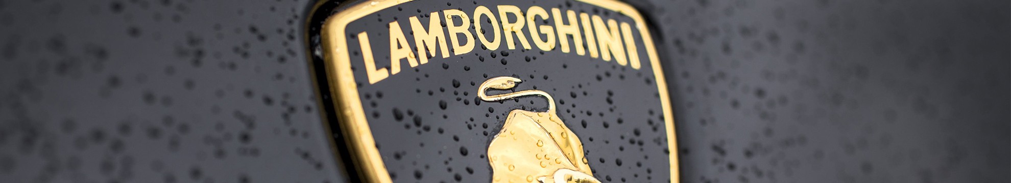Minds banner for @Lamborghini