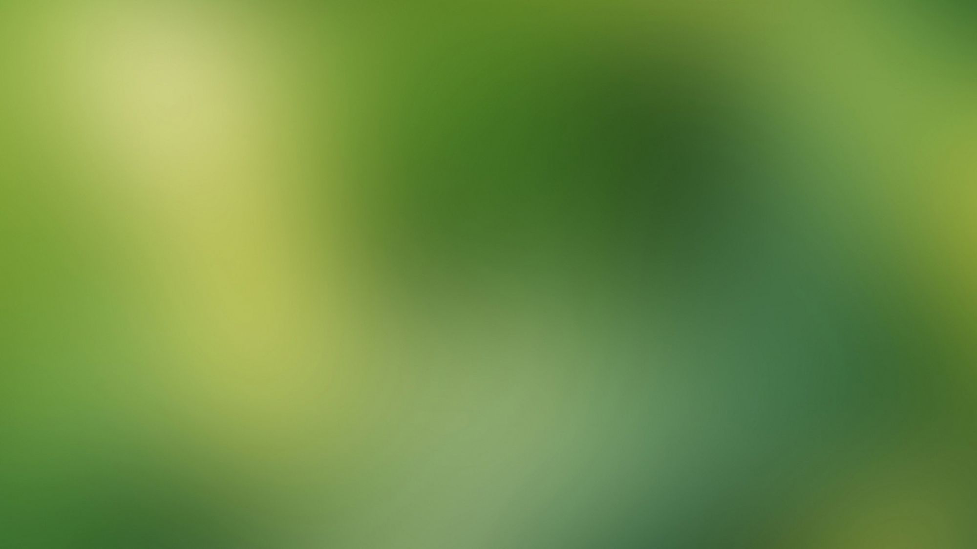 Minds banner for @lows