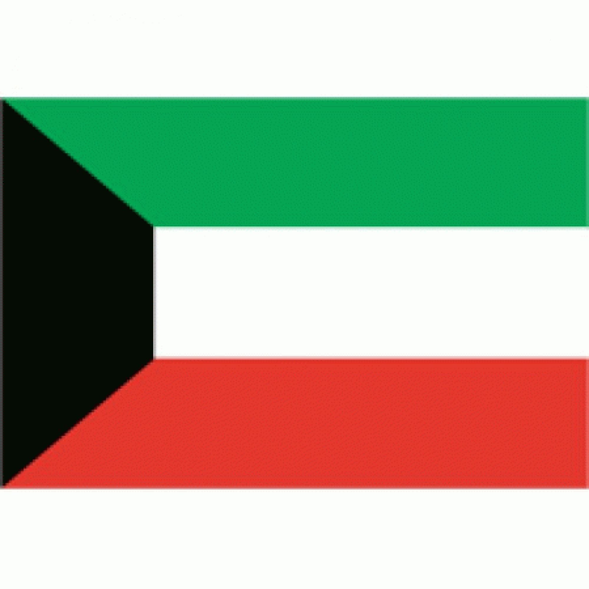 Minds banner for @Kuwait