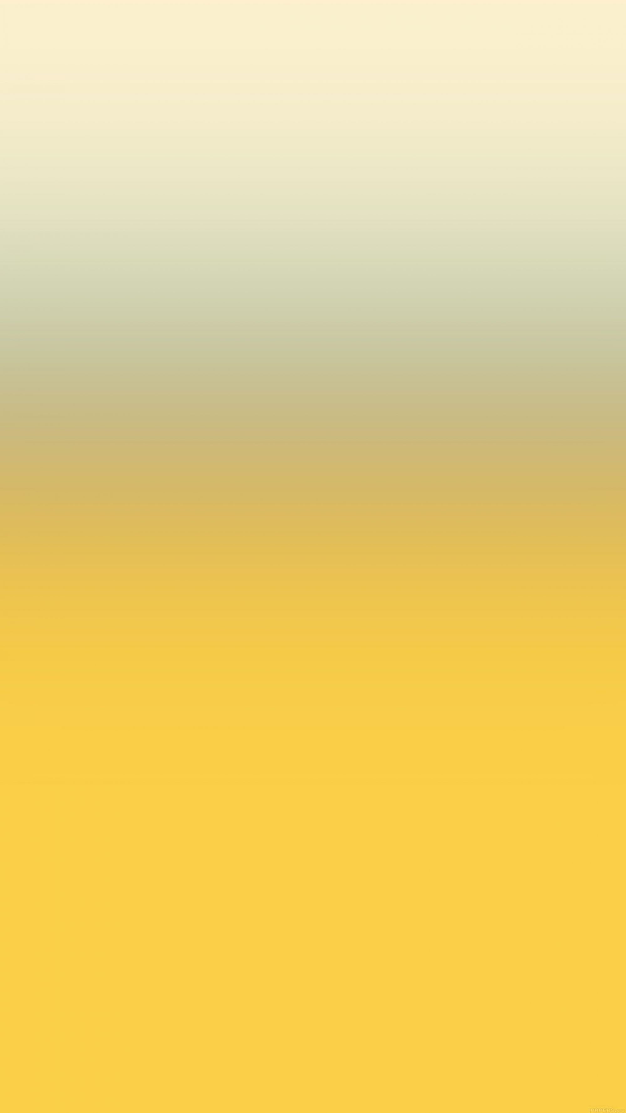 Minds banner for @cdt