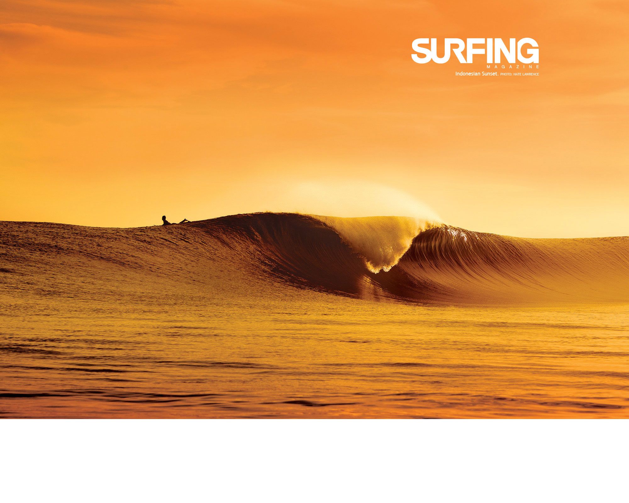 Minds banner for @Surf
