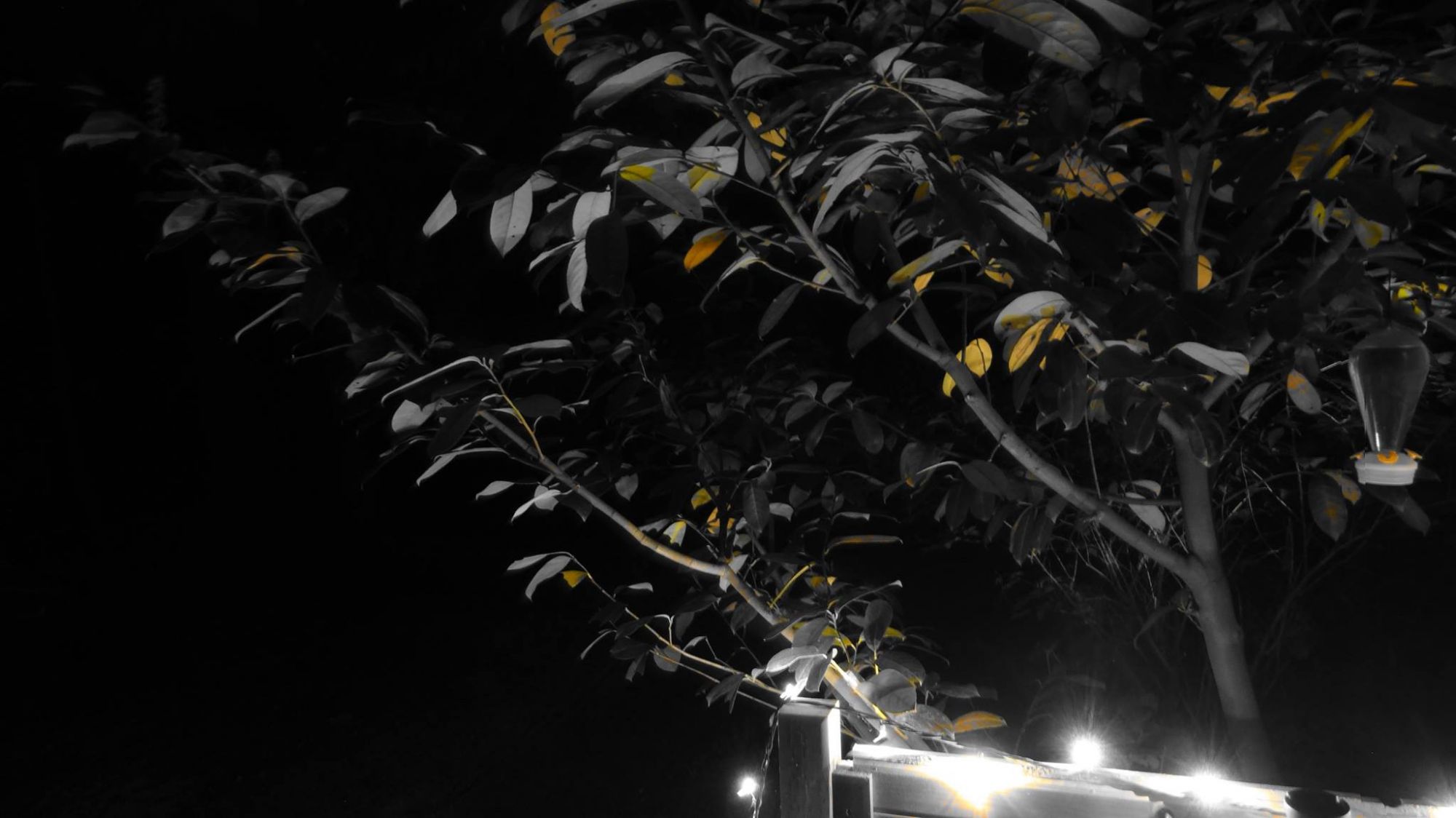 Minds banner for @Curt