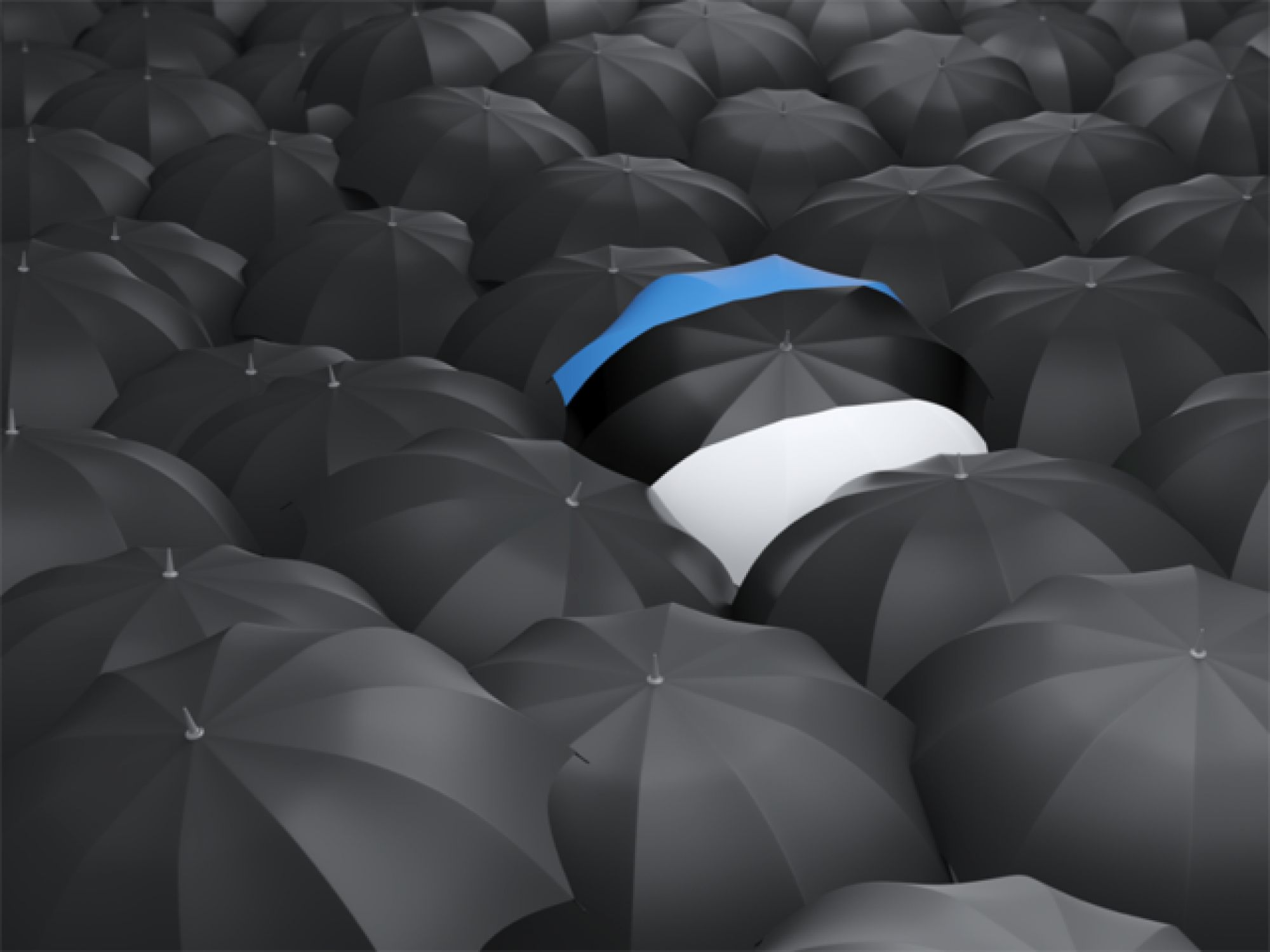 Minds banner for @estonia