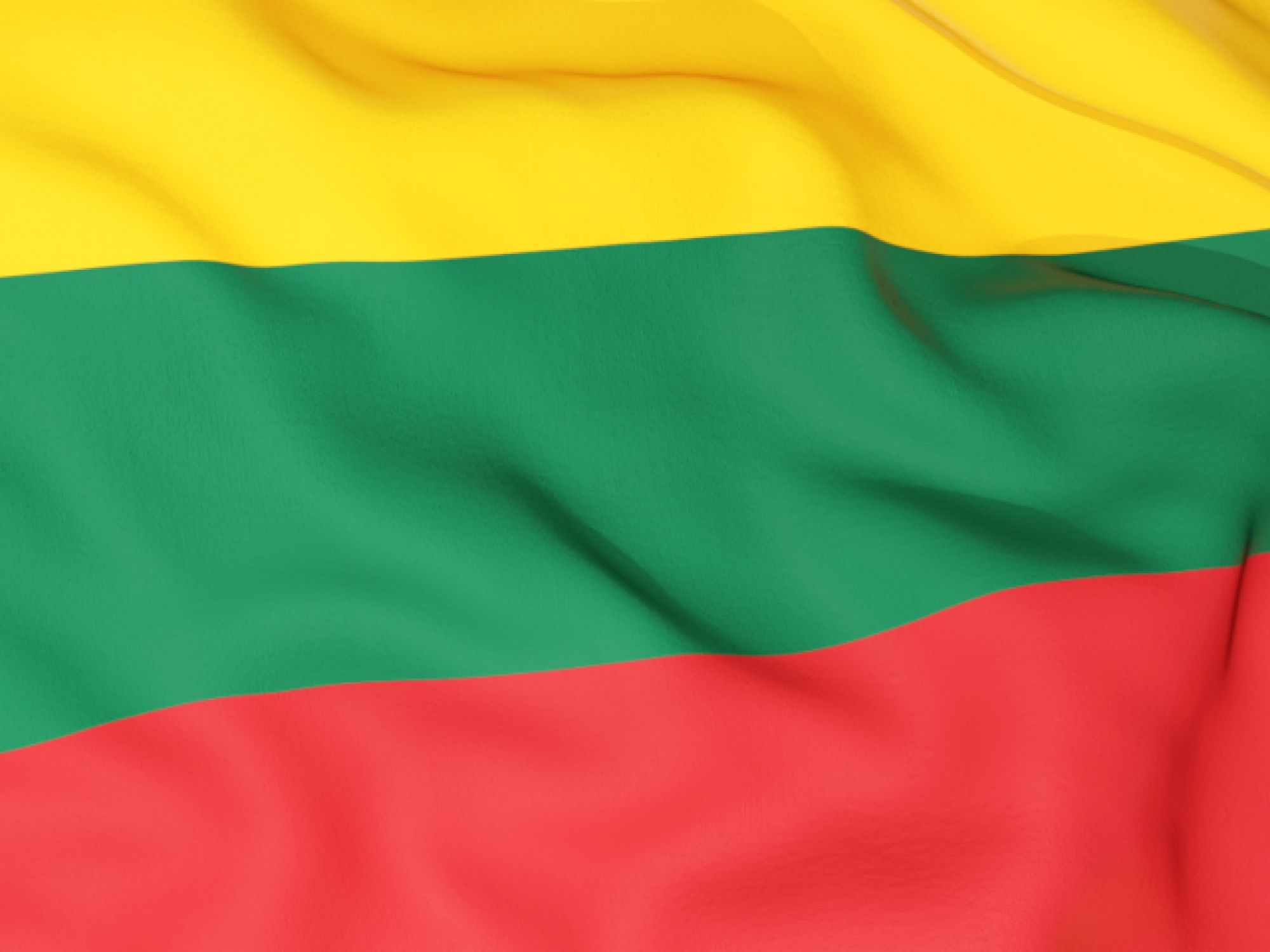Minds banner for @lithuania