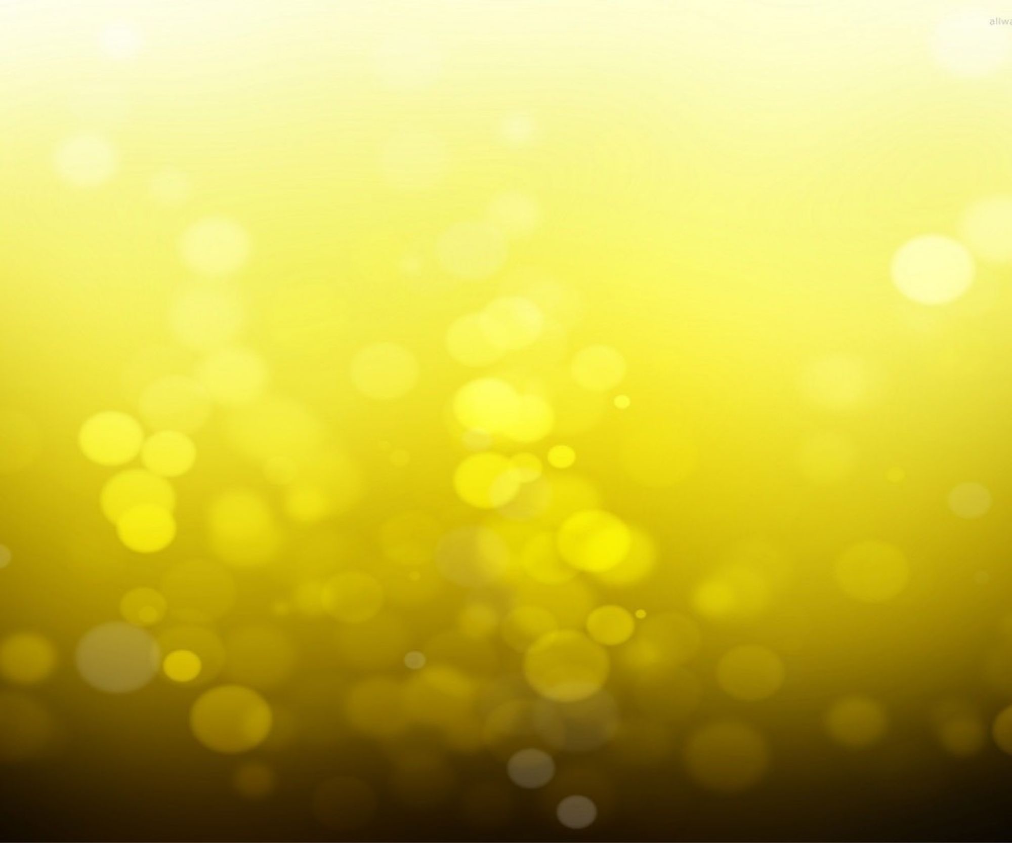 Minds banner for @wallaby