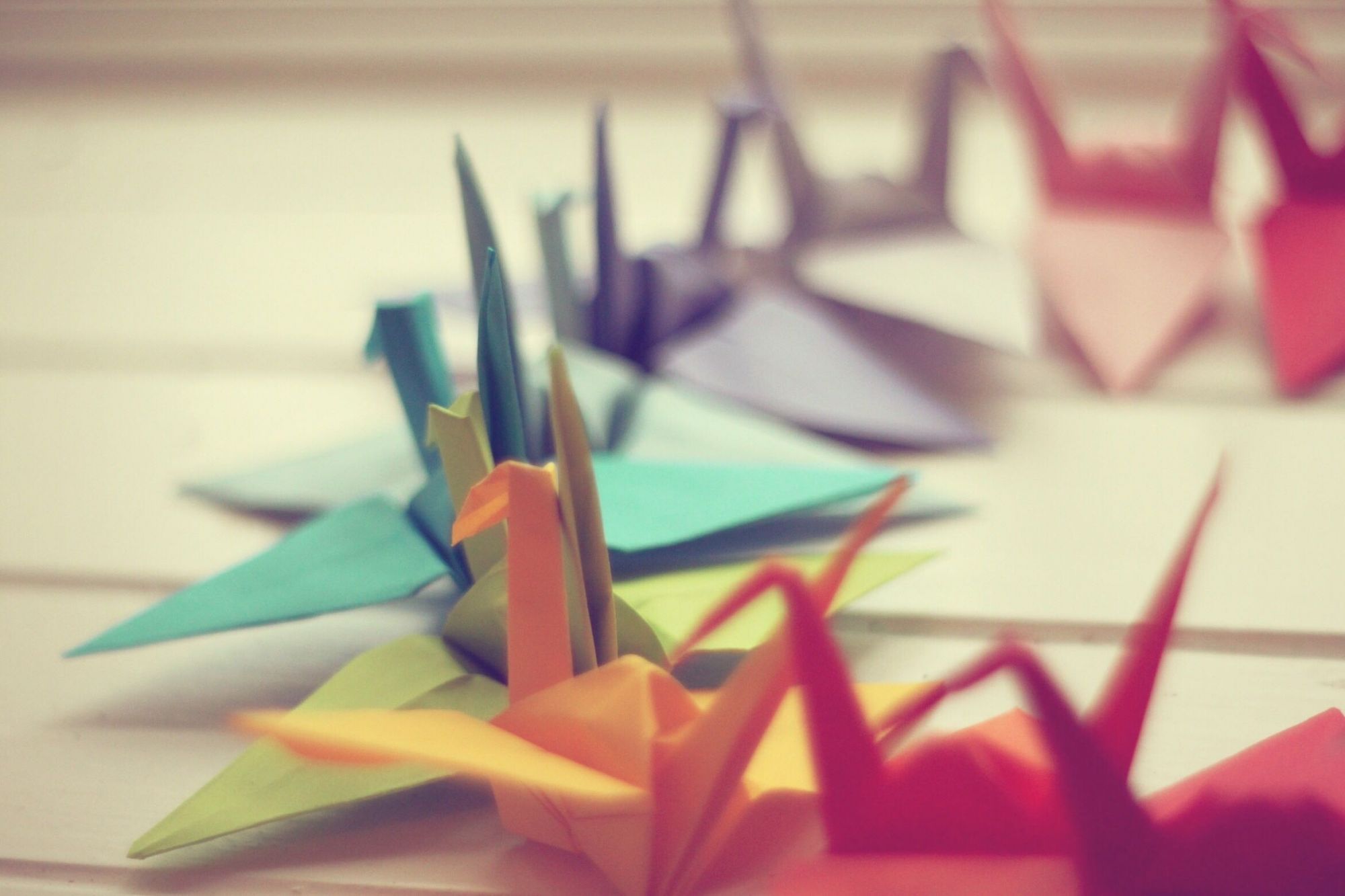 Minds banner for @Origami