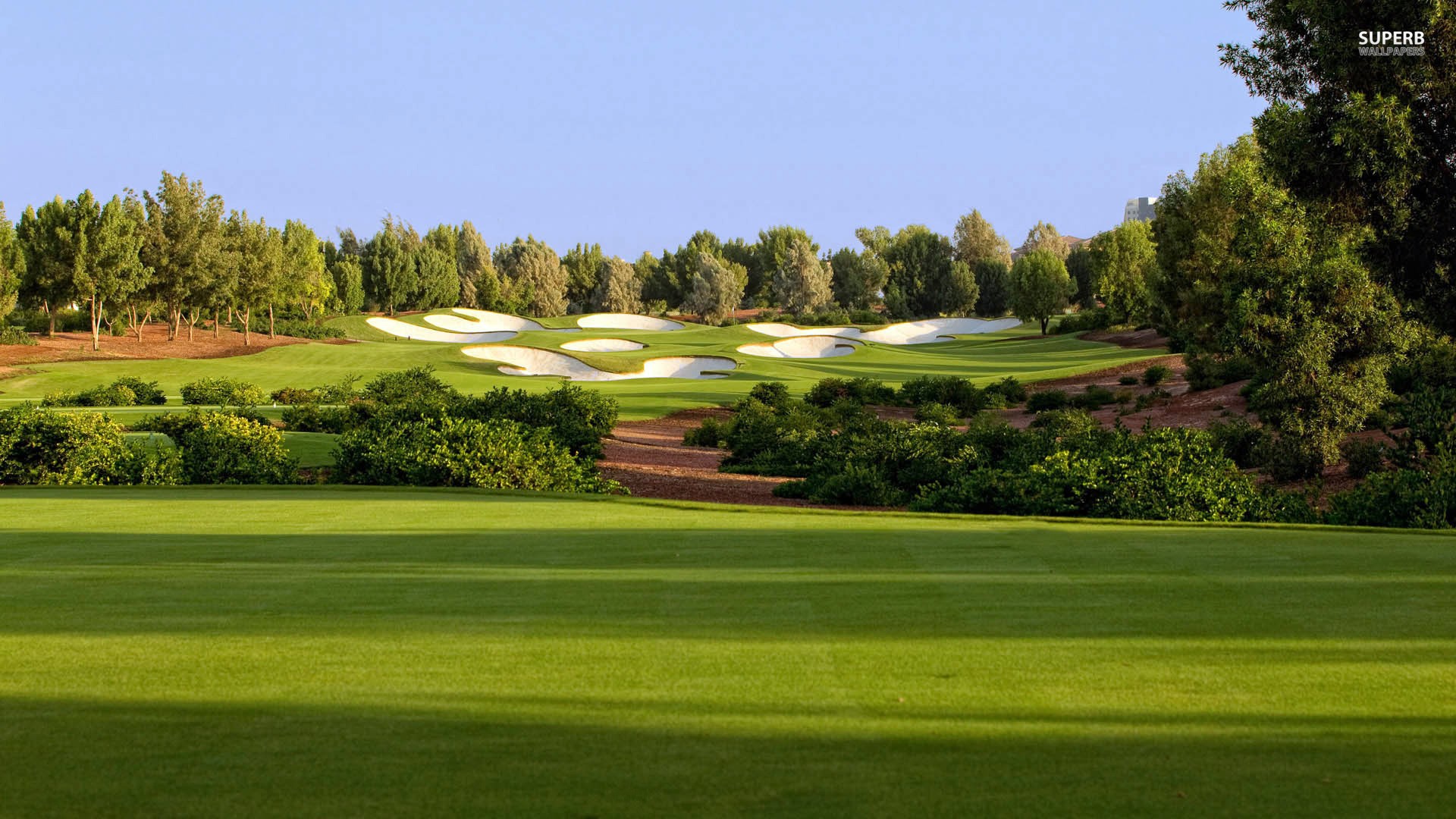 Minds banner for @Golf