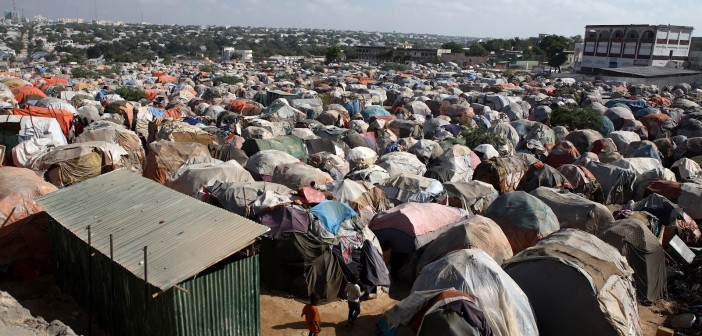 Minds banner for @refugee