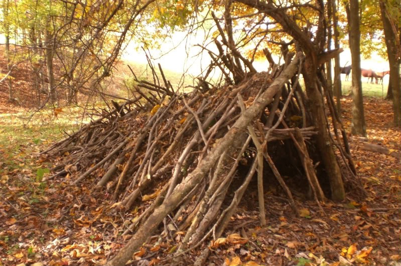 How to make seven life-saving primitive shelters | Minds