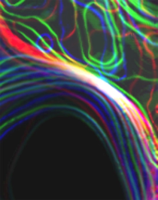 Minds banner for @taran