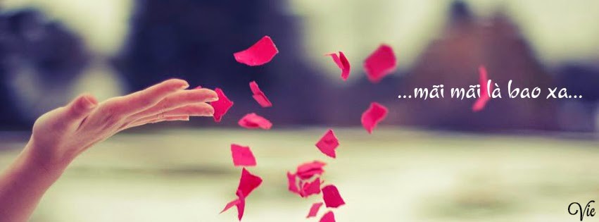 Minds banner for @kites