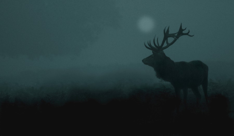 Minds banner for @atkinson