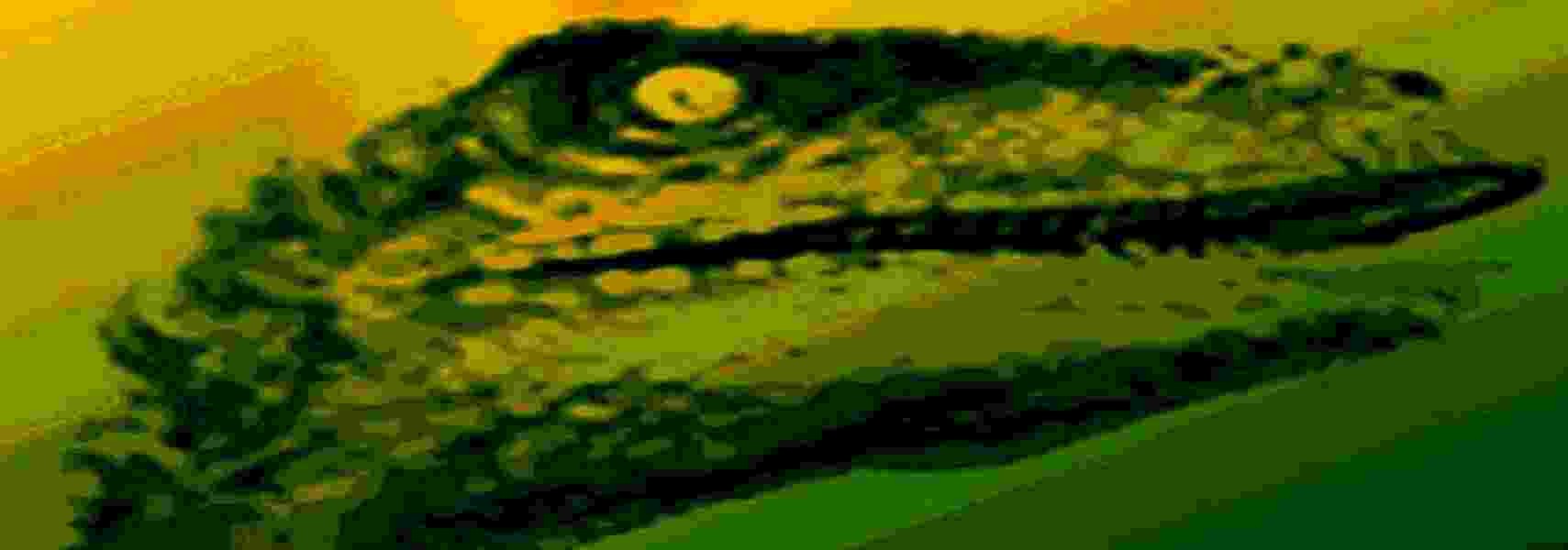 Minds banner for @Reptile