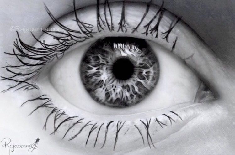 Minds banner for @drawings