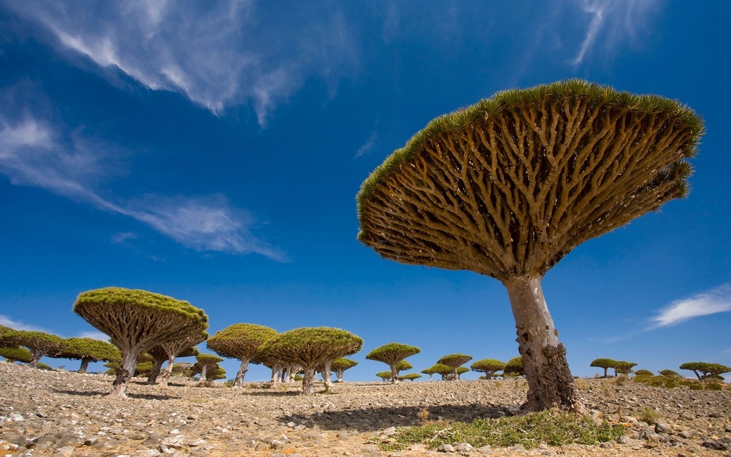Презентация wonders of nature