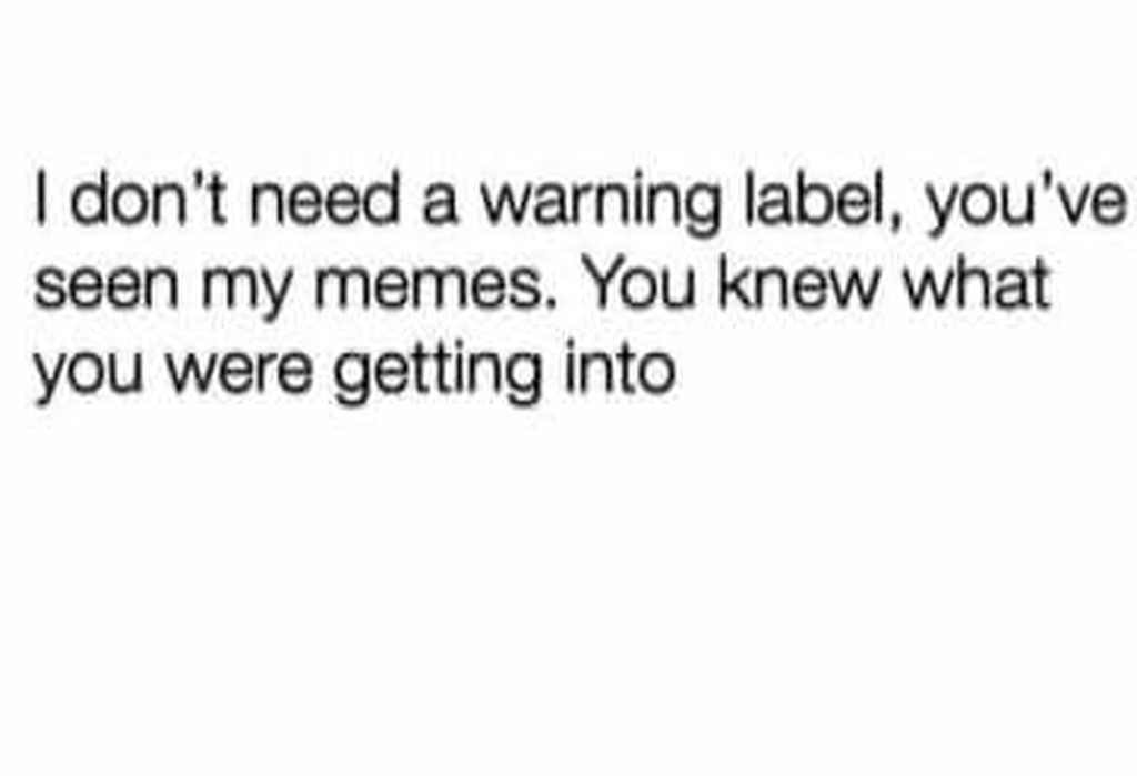 AI caption: a text that says i don't need a warning label, you've seen my memes, you know what you were getting into, text