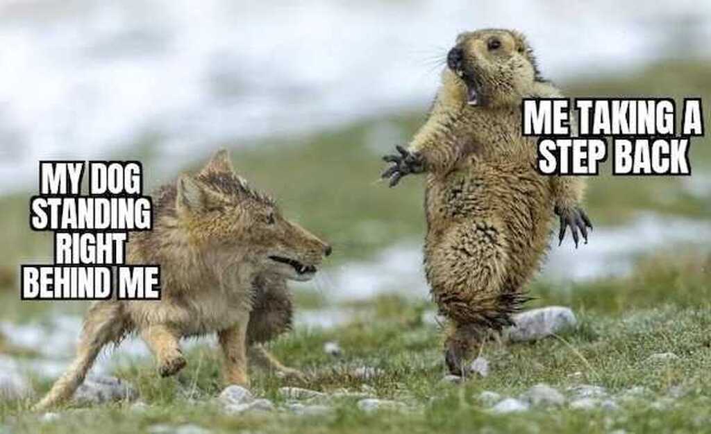 AI caption: a dog and a wolf standing behind each other, cartoon