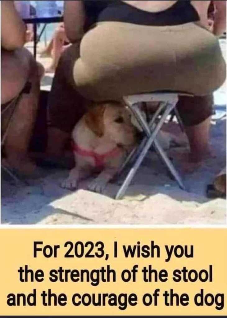 AI caption: for 2023 i wish you the strength of the stool and the courage of the dog, cartoon