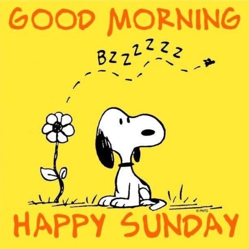 AI caption: good morning happy sunday snoopy, cartoon