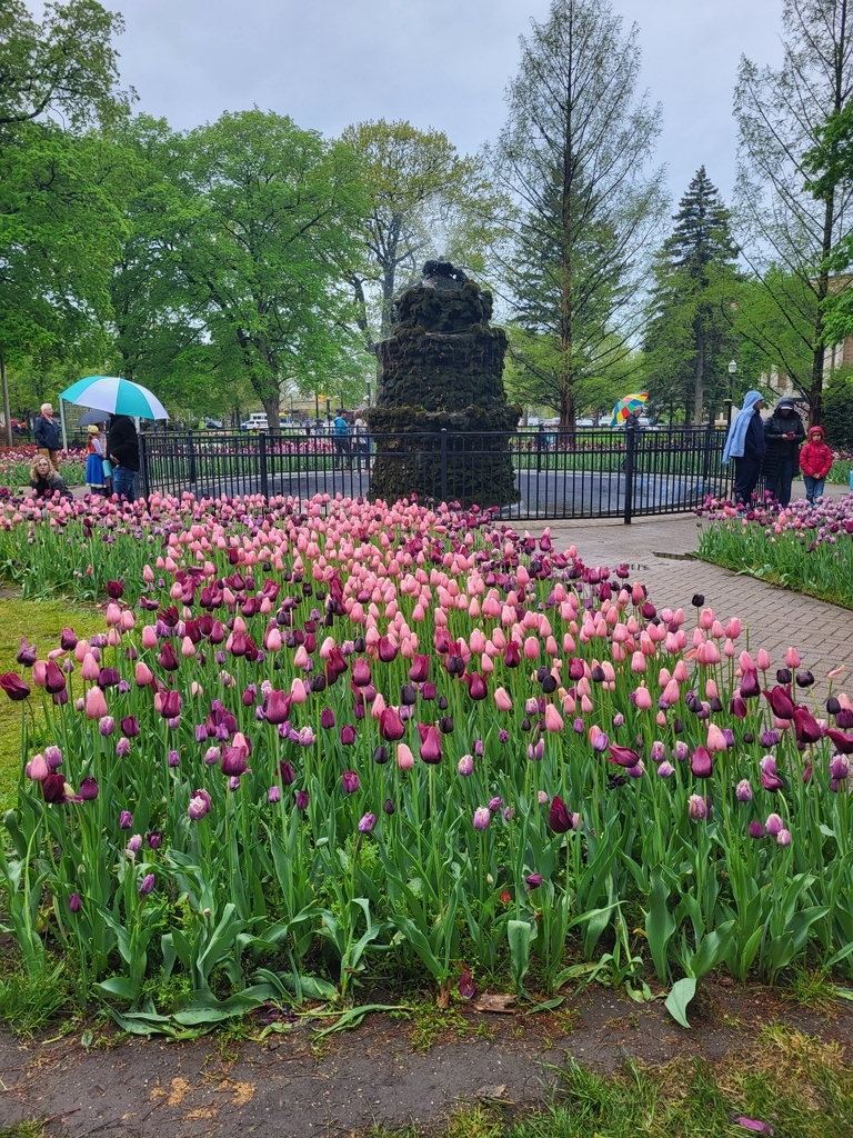 AI caption: a group of people are walking through a park with tulips, a landscape