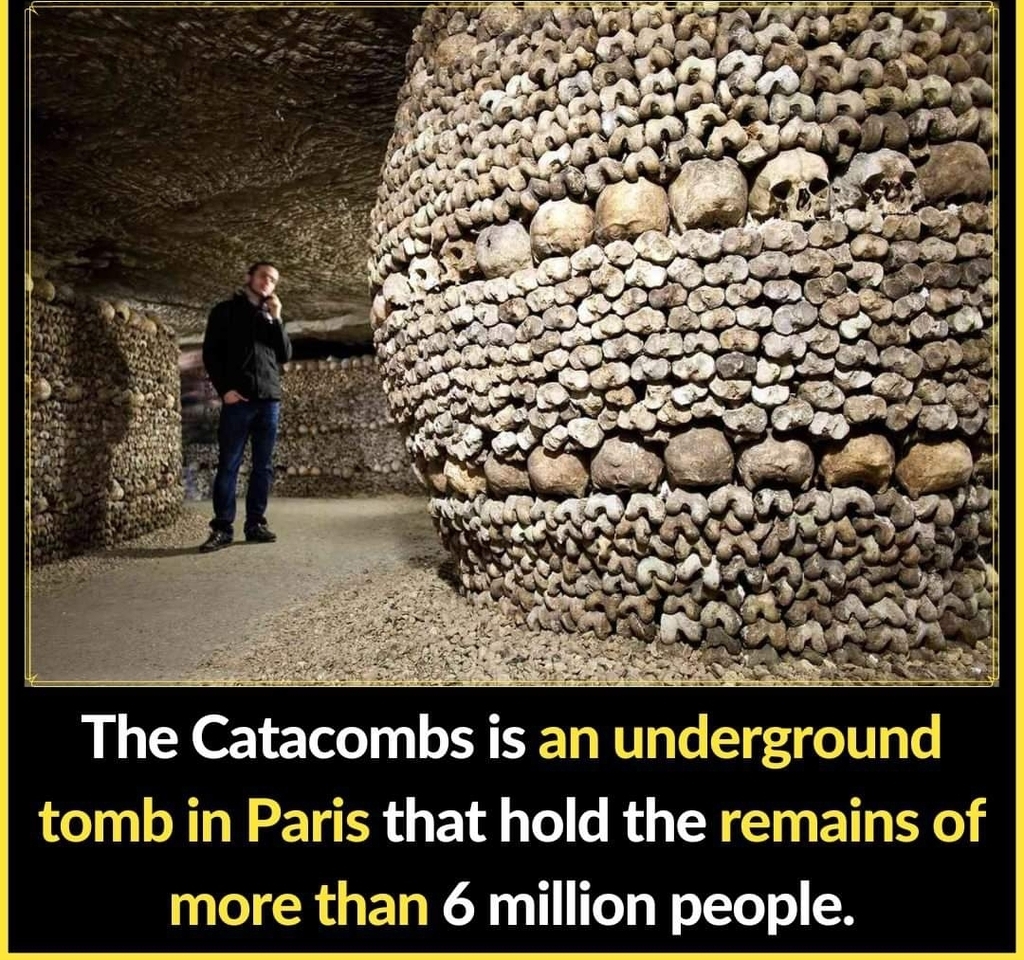 AI caption: the catacombs is an underground tomb in paris that holds the remains of more than 6 million people, graphic