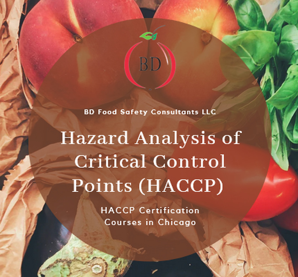 AI caption: hazard analysis critical control points haacp, graphic design