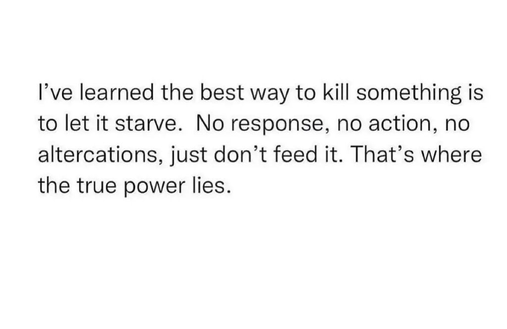 AI caption: a quote that says, i learned the best way to kill something to let it st, a quote