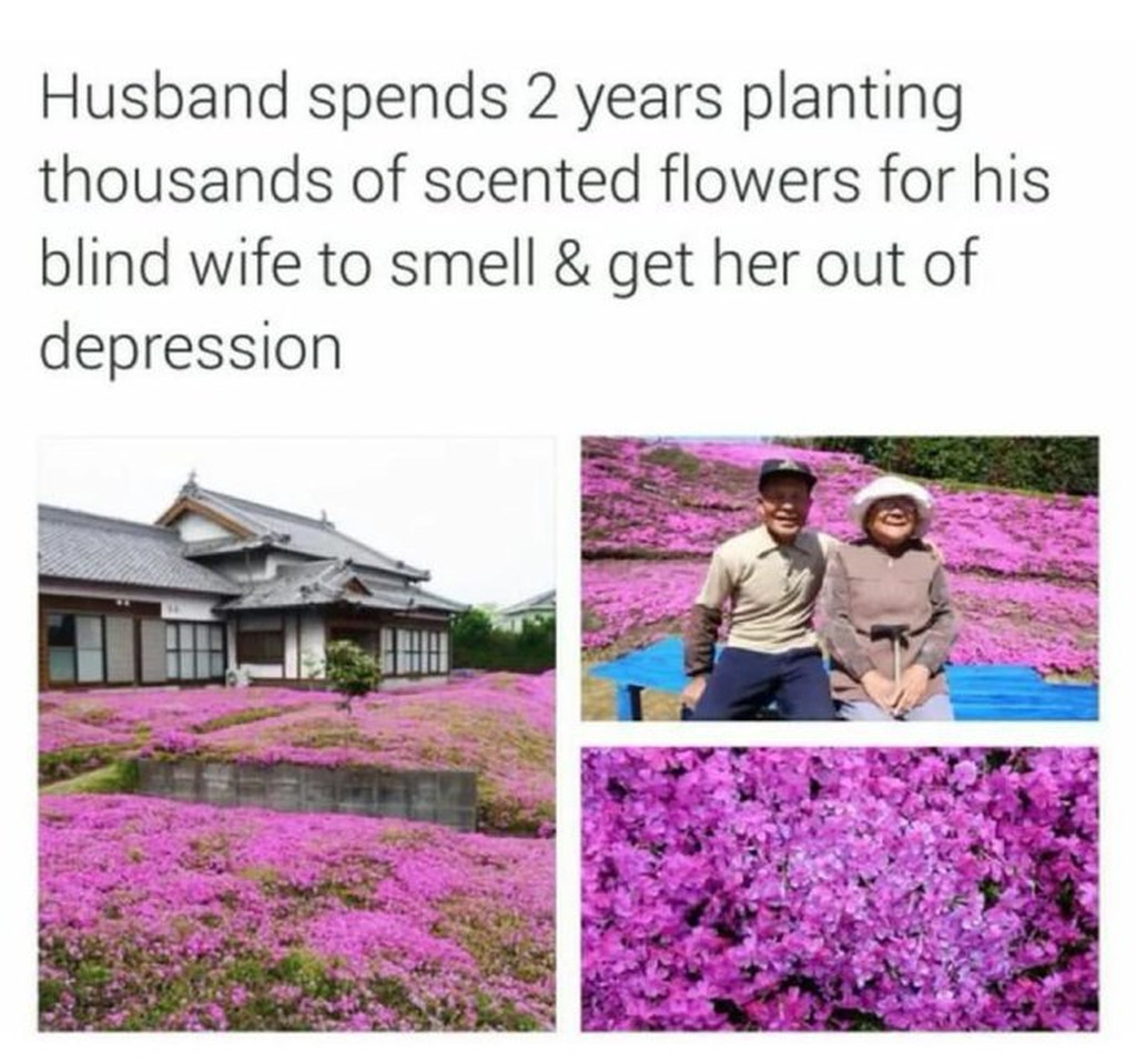AI caption: a man and woman are in a garden with purple flowers, text