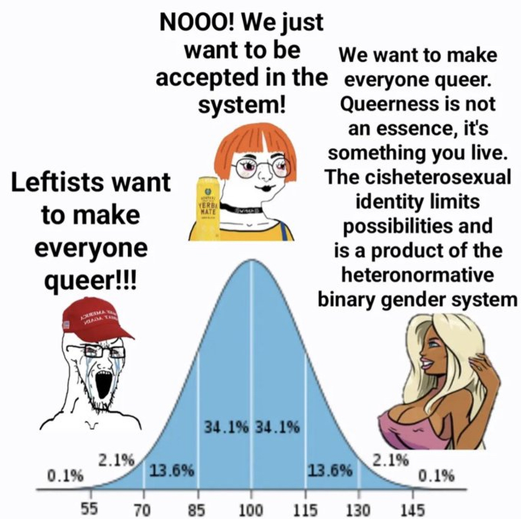 AI caption: a graph showing the percentage of women in the system, graph