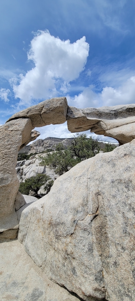 AI caption: joshua tree arch, joshua tree national park, abstract