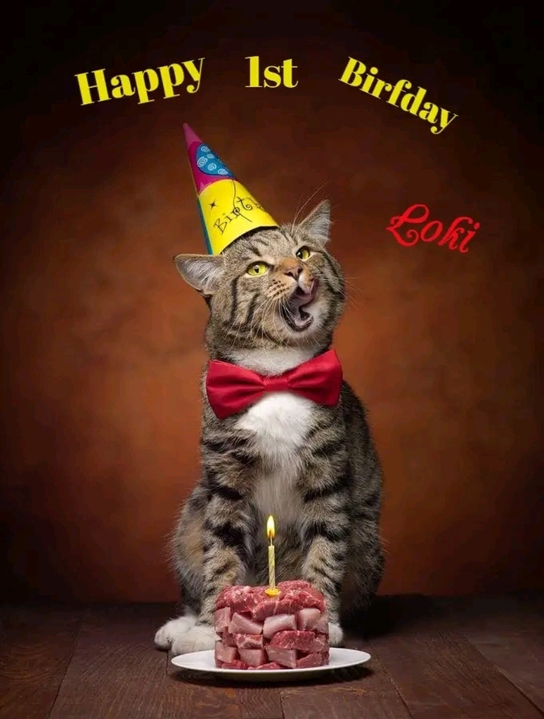 AI caption: a cat with a birthday hat and cake, cartoon