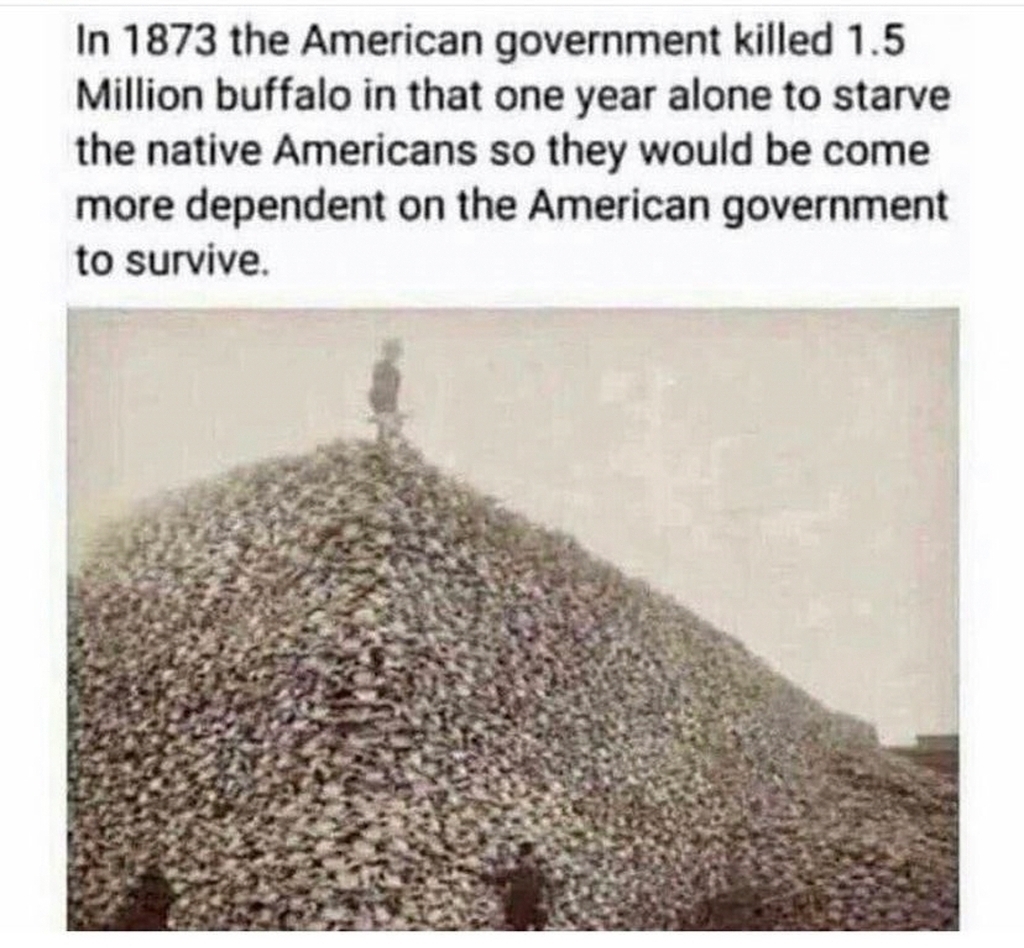 AI caption: the american government killed 16 million buffalo that alone to survive, a black and white image