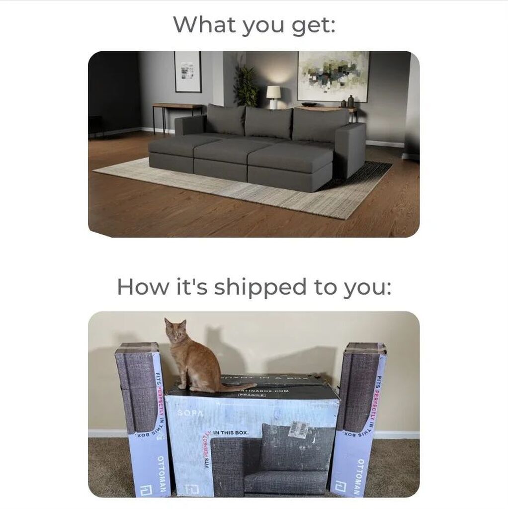 AI caption: a cat and a couch in a box, ad