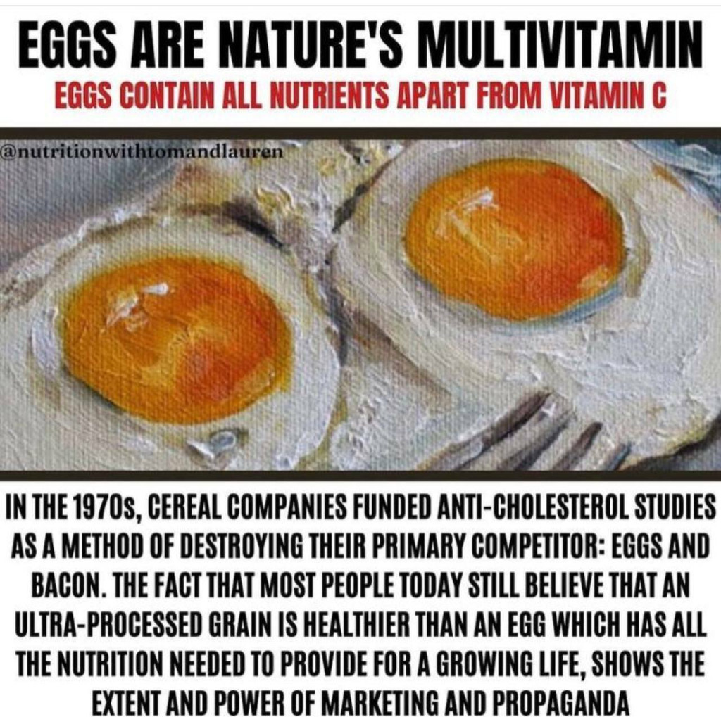 AI caption: eggs are nature's multivitamin, poster