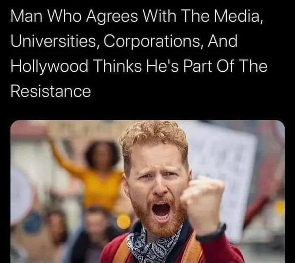 AI caption: a man who deals with the media, universities, corporations and hollywood thinks he's part of the resistance, graphic