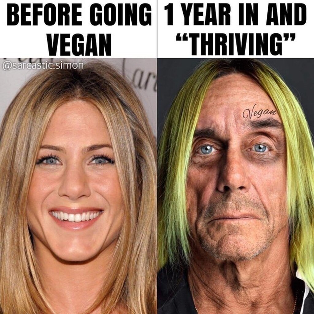 AI caption: jennifer aniston before going 1 year and vegan, meme