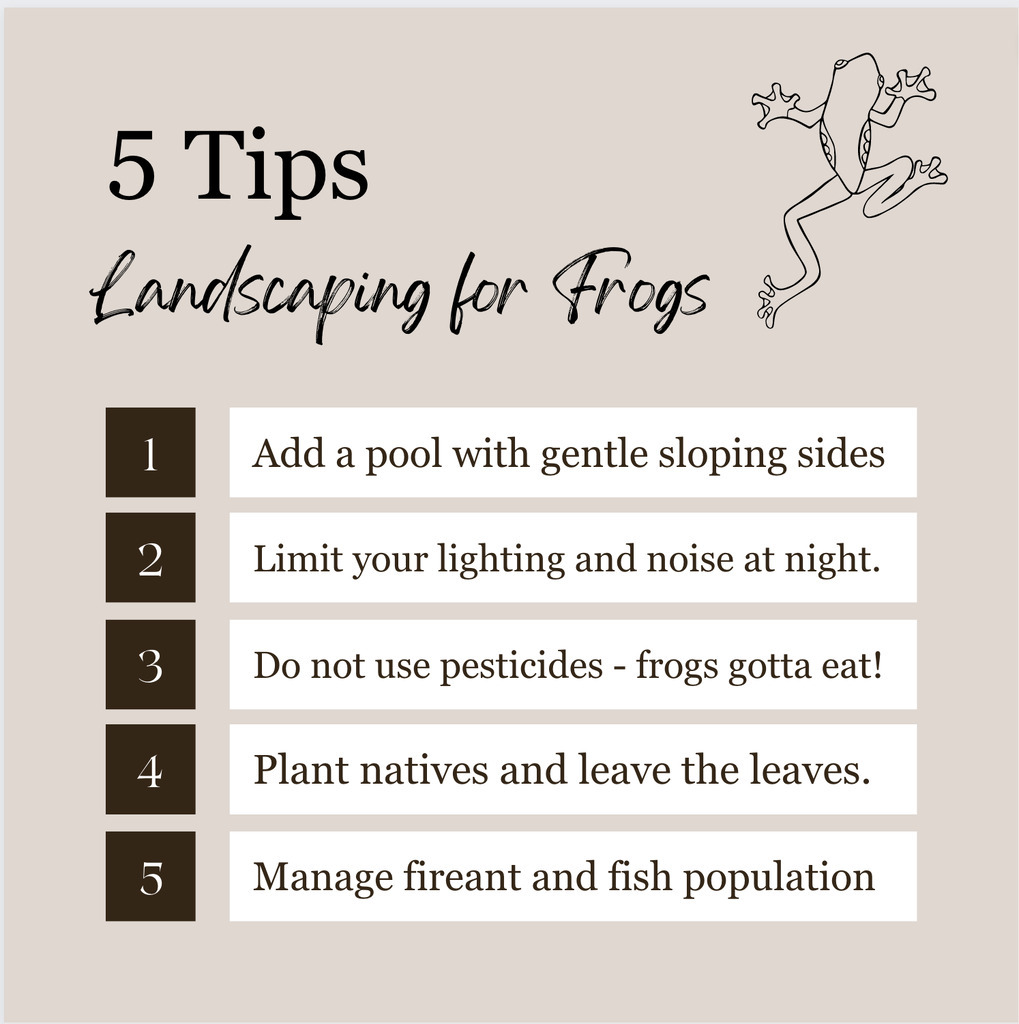 AI caption: a frog is swimming in a pond with leaves, black and white 5 tips landscaping for frogs