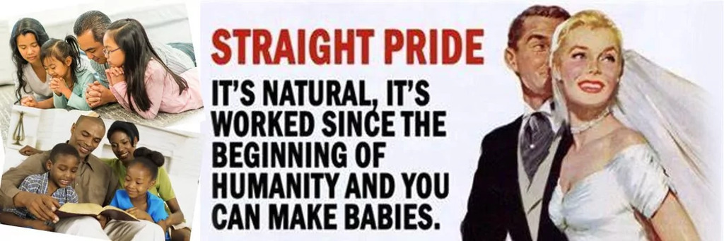 AI caption: a poster with the words straight pride, poster