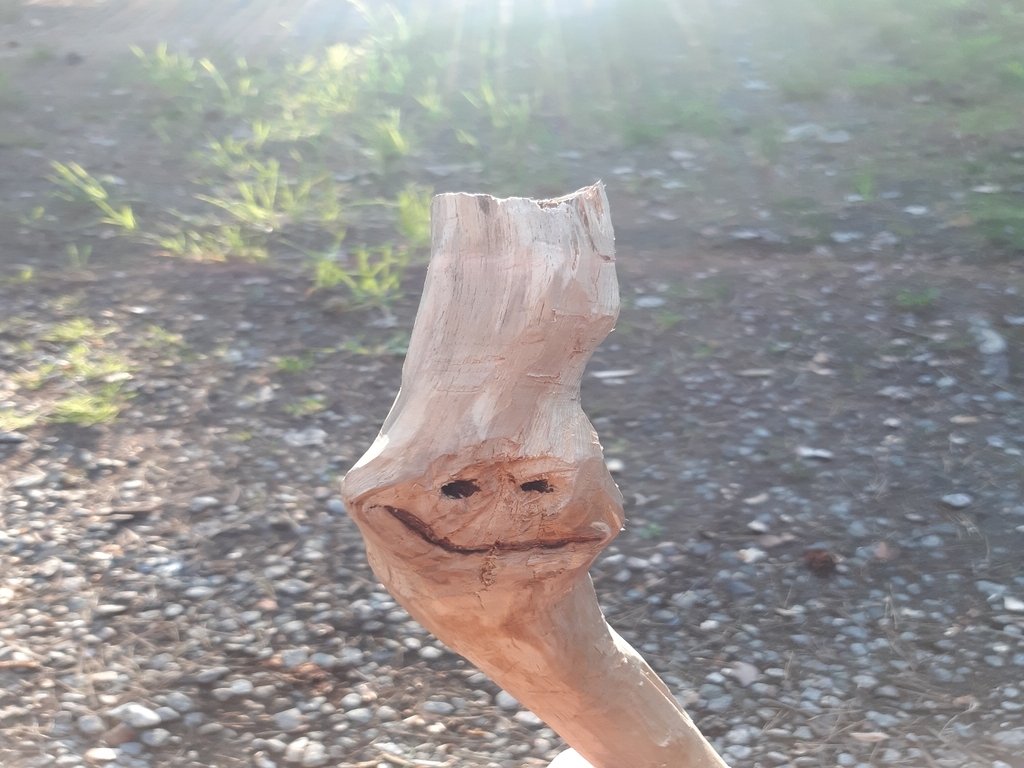 AI caption: a stick with a smiley face on it, portrait