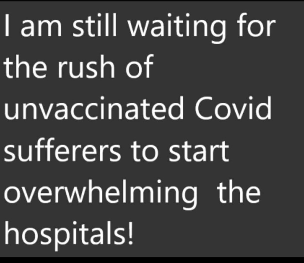AI caption: the text says i am still waiting for the rush of uninfected covid victims to start overwhelming the hospitals