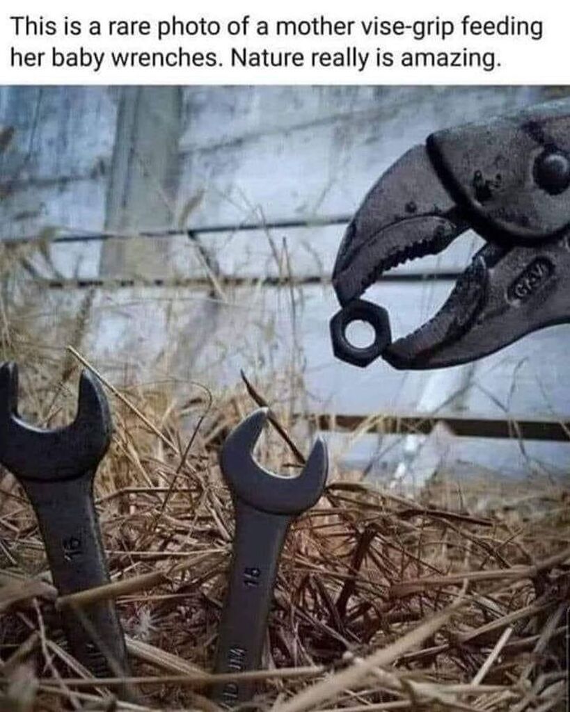 AI caption: a photo of a mother feeding her baby wrenches