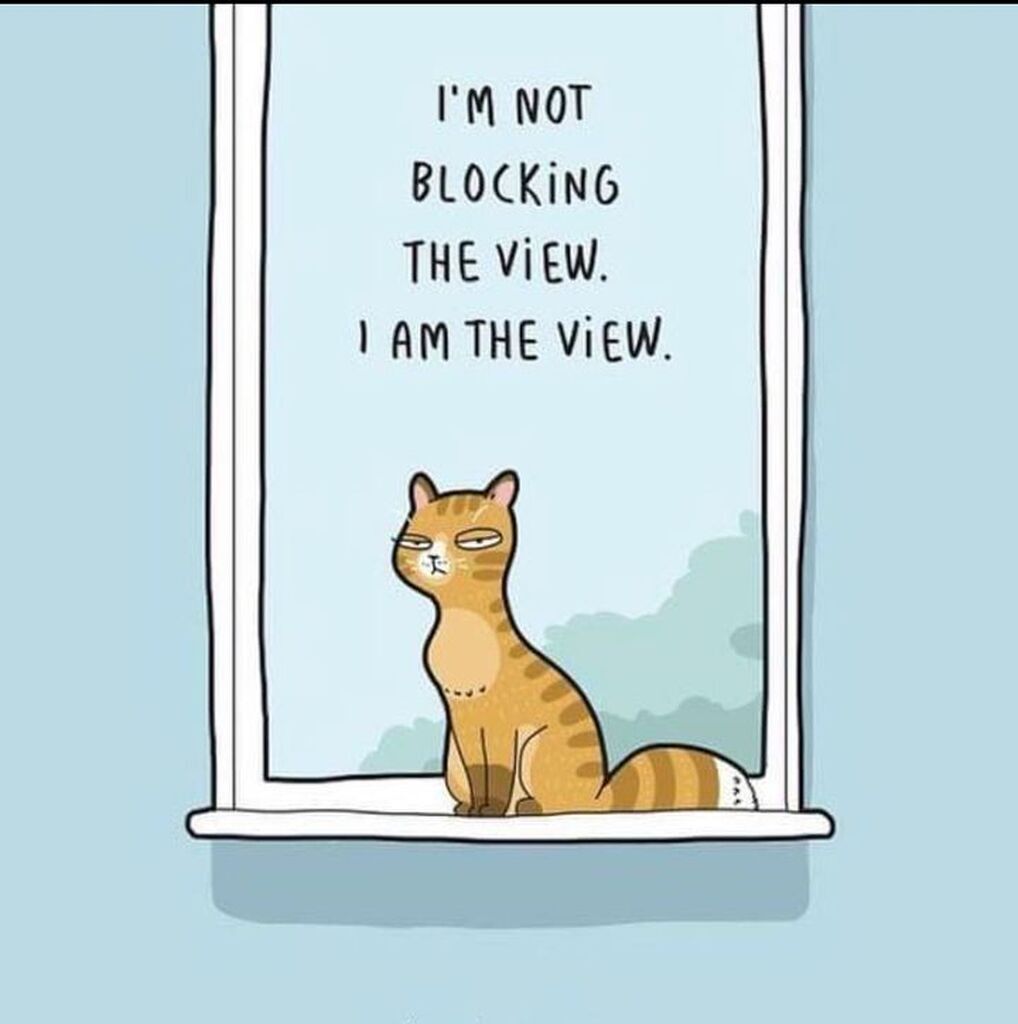 AI caption: the cat is sitting on the window sill