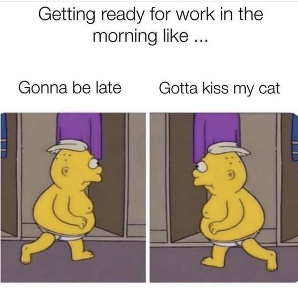 AI caption: getting ready for work in the morning gonna late like gonna kiss my cat